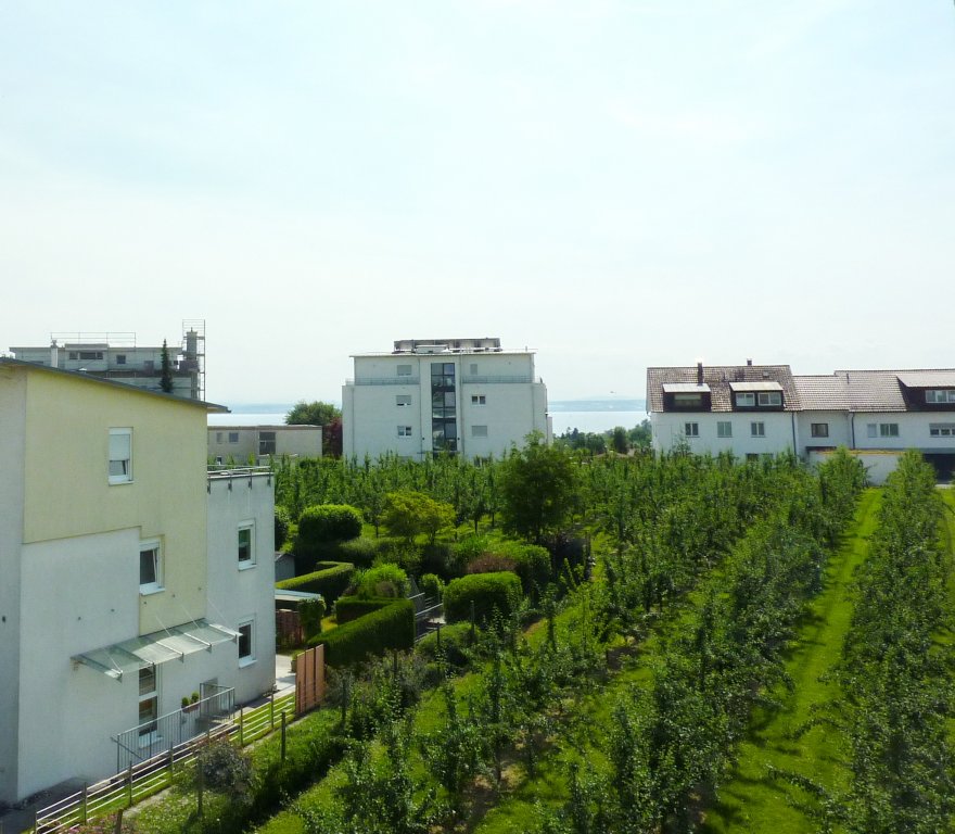 Friedrichshafen Moderne 3 Zi Wohnung In Toller Wohnlage Mit